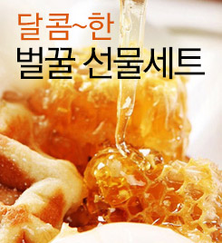 �������̵���